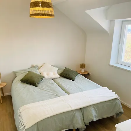 Apartamento Envolée Des Rêves - Terrasse - Parking Privé Wintzenheim