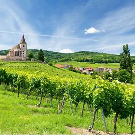 Envolée Des Rêves - Terrasse - Parking Privé Wintzenheim