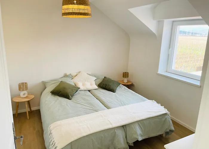 Apartamento Envolée Des Rêves - Terrasse - Parking Privé Wintzenheim